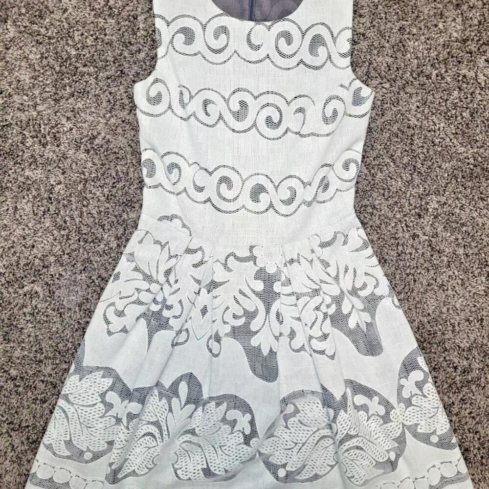 Women's Altar'd State Sleeveless Pleated Dress Size XS EUC! Beautiful!!